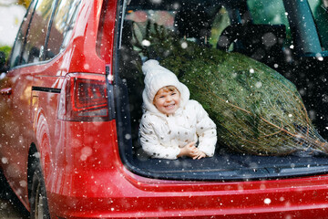 Adorable little toddler girl with Christmas tree inside of family car. Happy healthy baby child in winter fashion clothes choosing and buying big Xmas tree for traditional celebration.