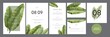 Vector banners set with green tropical leaves on black background. Exotic botanical design for cosmetics, spa, perfume, beauty salon, travel agency, florist shop. Best as wedding invitation cards.