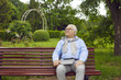 © Studio Romantic - Outdoor portrait of a happy retired senior man. Relaxed old granddad sitting on a wooden bench in a quiet summer park, holding a laptop computer, looking at trees, admiring greenery and enjoying life