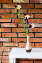 Iris Flower In A Vase On A White Table Against A Background Of A Brick Wall Close-up