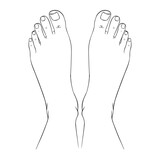 Fototapeta Konie - Beautiful female feet barefoot sketch. Black-and-white outline sketch. A design element for spa, manicure or cosmetics.