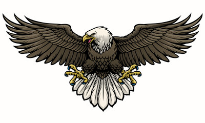hand drawn bald eagle spreading the wings