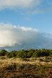 © AGAMI - Duinen op Vlieland, Dunes at Vlieland