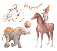 Watercolor Circus Set. Hand Drawn Illustrations: Trained Dog And Horse, Elephant Baby, Flags Garland And Other Trick Accesorises. Isolated Retro Objects
