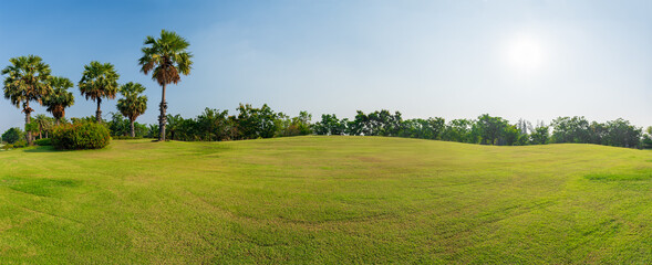 Wall Mural - Panorama green grass on  golf field