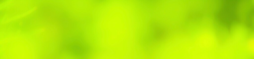 Wall Mural - abstract green background