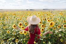 Beautiful Young Woman In Red Dress And A Straw Hat Is Standing Against A Yellow Field Of Sunflowers. Summer Time. Back View