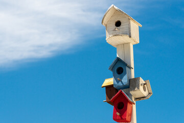 A post with a large white color wooden birdhouse for birds. The house has a single round hole in the center. Below are multiple small birdhouses similar to the white but red, blue, and white in color.