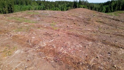 Wall Mural - Arial view of deforestation and illegal logging in forest. Cutting trees. ​Stacks of cut wood. Wood logs, timber logging. Forests destruction. Ecology and environmetal concept. Open pit development