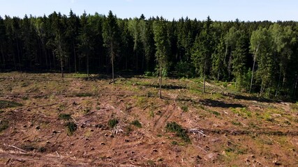 Wall Mural - Arial view of deforestation and illegal logging in forest. Cutting trees. ​Stacks of cut wood. Wood logs, timber logging. Forests destruction. Ecology and environmetal concept. Open pit development