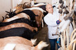© JackF - Portrait of professional male milkmaid working with goats on farm