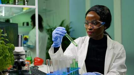 African botanist researcher checking test tubes with dna test liquid examining biology sample for botany experiment. Scientist woman working in agriculture laboratory developing eco environment