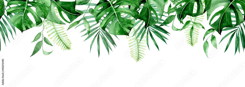 seamless watercolor border, banner, frame with tropical leaves. green leaves of monstera, palm, fern isolated on white background. seamless print clipart - obrazy, fototapety, plakaty 