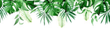 Seamless Watercolor Border, Banner, Frame With Tropical Leaves. Green Leaves Of Monstera, Palm, Fern Isolated On White Background. Seamless Print Clipart