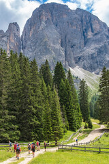 Wall Mural - group of hikers on a trail at an alpine meadow
