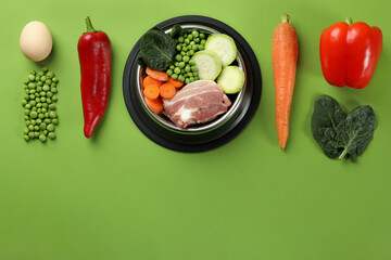 Wall Mural - Concept of organic pet food on green background