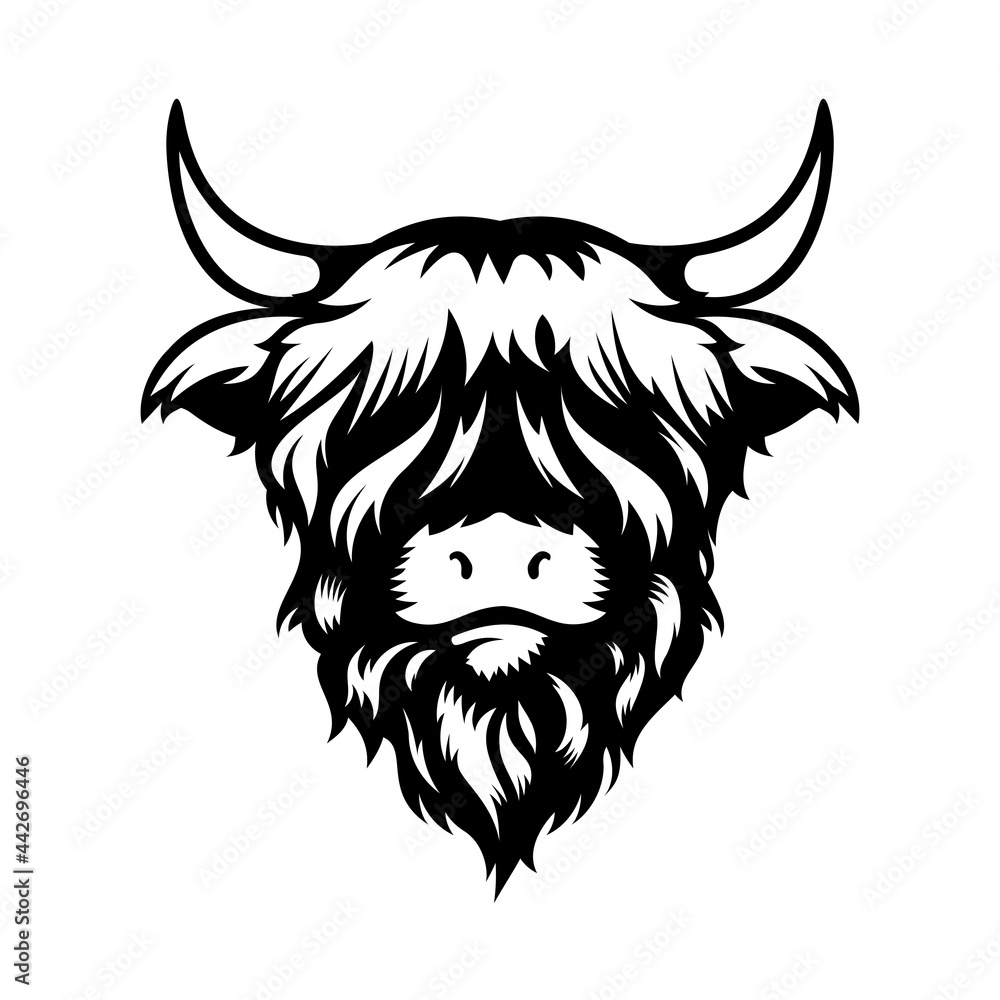 Highland cow head design on white background. Farm Animal. Cows logos or icons. vector illustration. - obrazy, fototapety, plakaty 