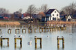 © AGAMI - Bird flocks at Starrevaart
