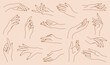 © CoCoArt_Ua - Set of delicate women's hand in trendy linear style. Female hands in various gestures. Vector linear boho icon illustrations. Branding.