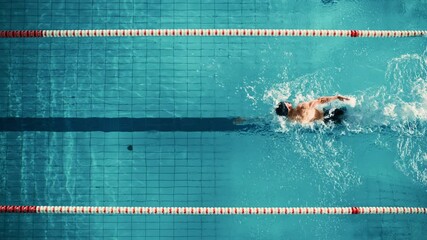 Canvas Print - Aerial Top View Male Swimmer Swimming in Swimming Pool. Professional Athlete Training for the Championship, using Front Crawl, Freestyle Technique. Cinematic Wide Slow Motion Tracking Shot