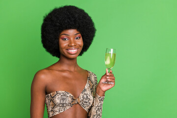 Sticker - Photo of lovely short hairdo young lady hold glass of wine wear animal printed top isolated on green color background