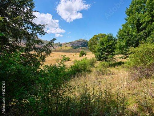 Obrazy Apeniny  passo-godi-w-abruzyjskich-apeninach-pastwiska-i-lasy-w-dolinie-passo-godi-u-podnoza-monte-sella-rocca-chiarano-bedacego-szczytem-gor-marsicani