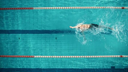 Wall Mural - Aerial Top View: Muscular Male Swimmer in Swimming Pool. Professional Athlete Swims in Backstroke Style, Determination in Training to Win Championship. Cinematic Slow Motion, Stylish Colors