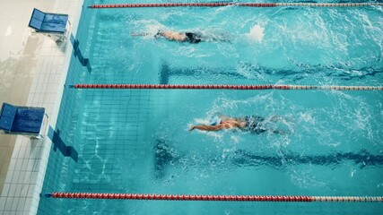 Wall Mural - Swim Race: Two Professional Swimmers jump dive in Swimming Pool, Stronger and Faster Wins. Athletes Compete the Best Wins Championship, World Record. Slow Motion, Aerial Top View Tracking Shot