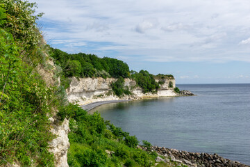 Poster - beautiful ocean landscape with steep white chalkstone cliffs and forest