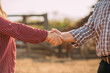 © Brastock Images - Latino farmers man and woman shaking hands. Farmers closing business
