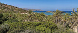 PLAŻA Z PALMAMI. PLAŻA VAI NA WYSPIE KRETA, GRECJA. 