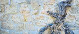 Fototapeta  - Tło z suchym drewnianym konarem na murze