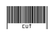 Digitalization Concept. Barcode Of Black Horizontal Lines With Inscription Cut