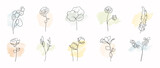 Minimal botanical hand drawing design for logo and wedding invitation. Floral line art. Flower and leaves on watercolour background design collection for bouquets decoration, invite, packaging design Minimal botanical hand drawing design for logo and wedding invitation. Floral line art. Flower and leaves on watercolour background design collection for bouquets decoration, invite, packaging design