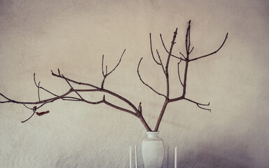 Dried Tree Branch In Vase