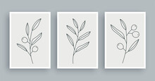 Olive Branch Botanical Wall Art Painting Background. Foliage Art And Hand Drawn Line With Abstract Shape. Mid Century Scandinavian Nordic Style.