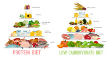 Protein Low Carb Diet. Isolated Vector Illustration