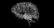 3D human brain spinning against black background