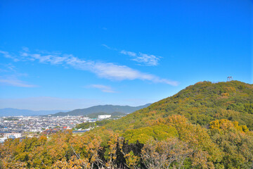 Wall Mural - 愛知県豊橋市の街並み