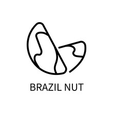 Brazil Nut Line Icon Is In A Simple Style. Vector Sign In A Simple Style Isolated On A White Background. Original Size 64x64 Pixels.