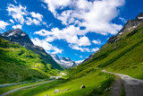 Fototapeta Fototapety góry  - alpin scenery during summer (Montafon, Austria)