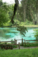 Lush vegation and aqua color spring at Rainbow Springs Park