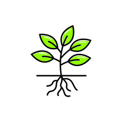 Wall Mural - plant root logo icon design template vector