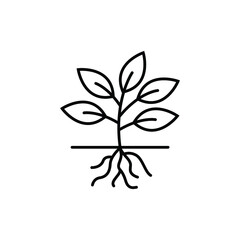 Wall Mural - plant root logo icon design template vector