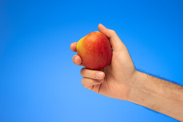 Fresh ripe red apple held in hand by Caucasian male hand isolated on blue background