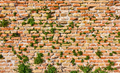 Texture of medieval masonry