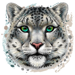 Wall Mural - snow leopard. color portrait of a snow leopard in watercolor style on a white background. digital ve