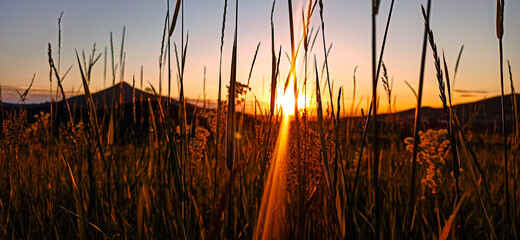 sunset over the river