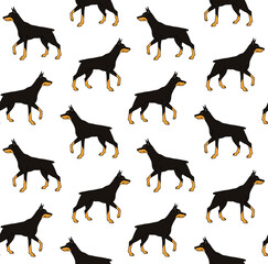 Canvas Print - Vector seamless pattern of hand drawn doodle sketch colored doberman dog isolated on white background