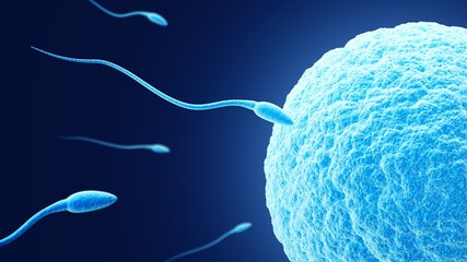 Poster - Fertilization. Egg and sperm. Dark blue background.  Spermatozoon and ovum. 3d illustration.